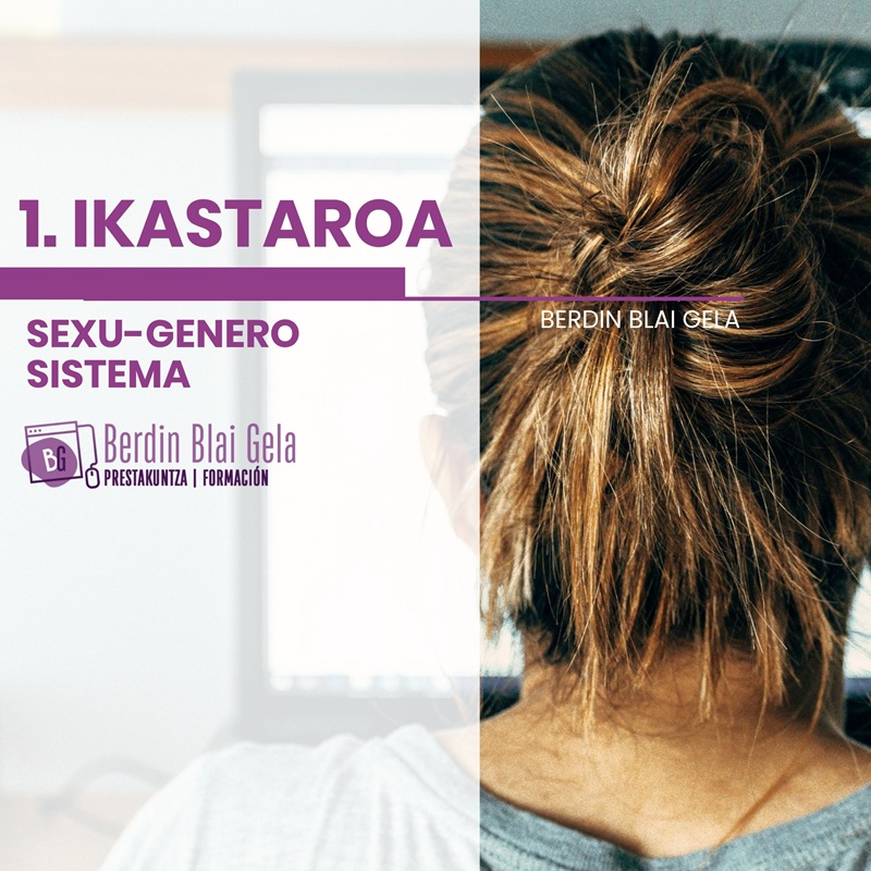 1. Ikastaroa -Sexu-genero sistema: Oinarrizko kontzeptuak (6h)