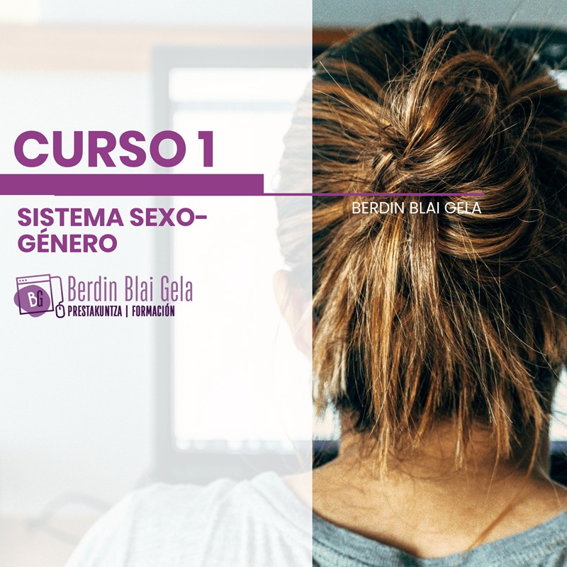 Curso 1 - El sistema sexo-género: Conceptos básicos (6h)
